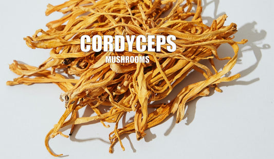 The Benefits of Cordyceps