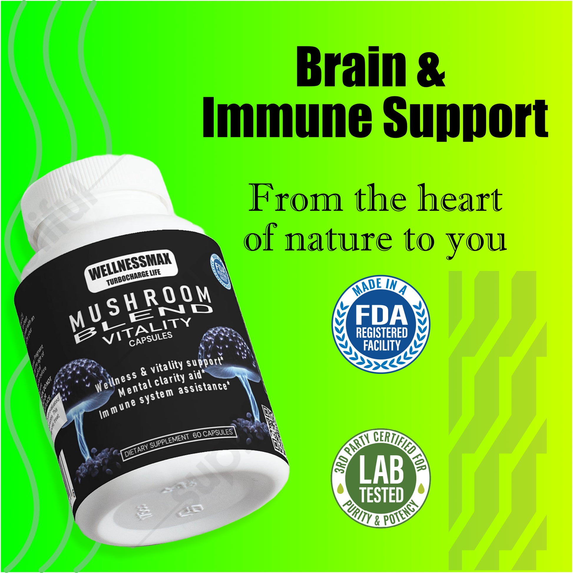 Brain Support Mushroom Blend